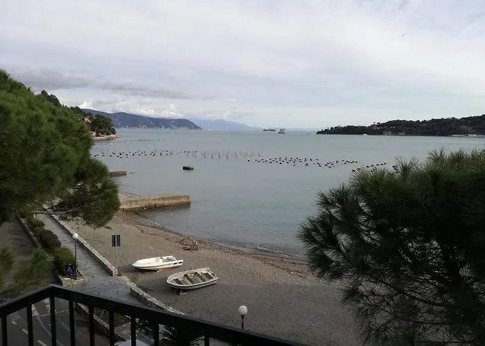 Olivo With Sea View *